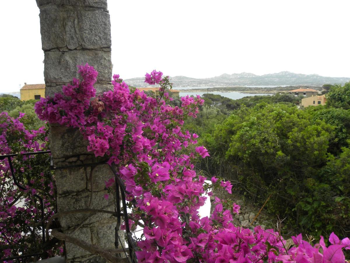 Villa Carlotta La Maddalena La Maddalena  Bagian luar foto